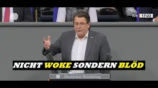 Nicht woke, sondern BL&Ouml;D! | Stephan Brandner im Bundestag