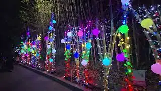 HOLIDAY CIRCLE at LA Zoo Lights Animal Aglow 2024