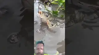 Best fishing technique#shorts