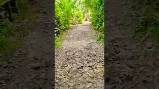 the fastest track #nature #pemandanganpegunungan #villagelife #travel #indonesia