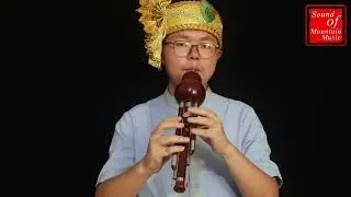 Concert Grade Chinese Free Reed Gourd & Rosy Sandalwood Flute Hulusi Instrument 葫芦丝
