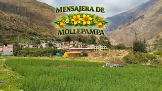 Mensajera de Mollepampa - Triyay Huaylas