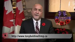 A Remembrance Day Message From Niagara Falls MP Tony Baldinelli