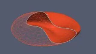 red blood cell in shear flow