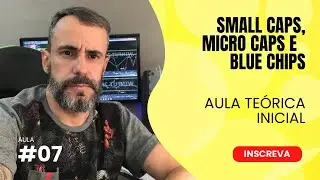 O QUE &Eacute; MICRO CAPS, SMALL CAPS E BLUE CHIPS?