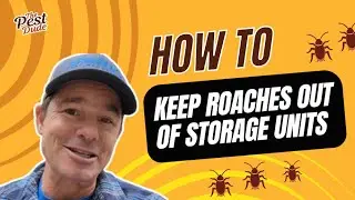 Thoughts on how to handle cockroaches in a storage- unit without getting in trouble!