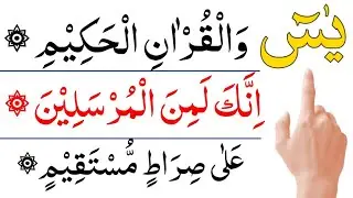 🔴Night wazeefa for rizaq| Ayatul kursi | 4 Qull| Surah Fatiha | Surah Baqarah| Surah yaseen| Rahman