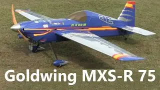 RCﾌﾗｲﾔｰの愛機紹介 5　MXS-R 75  Acrobatic Airplane