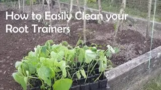Easiest Way to Wash Root Trainers - Tuesday Tips