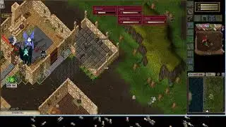 PVP | Old Oskom UO Shard