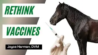 Equine Vaccinations Done Sensibly