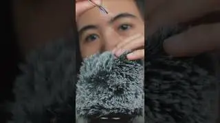 ASMR | Поиск, выщипывание и поедание насекомых 🐛