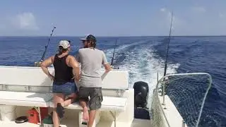 Fishing St Maarten with Coconut Reef - Calm Seas on the way home.