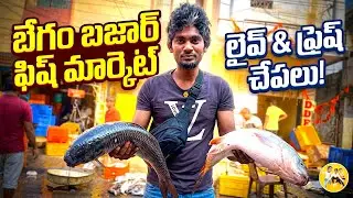 HYDERABAD&rsquo;S BIGGEST FISH 🐠 MARKET | RAM NAGAR FISH 🎣 MARKET MUSHEERABAD | WHOLESALE PRICES ANY FISH
