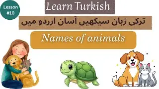 | Learn Basic Turkish in 3 minutes | Turkish for beginners |
