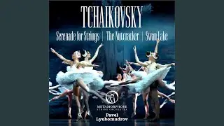 The Nutcracker Suite, Op. 71a: No. 2a, March of the Toy Soldiers