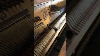 Fly Away (John Denver)  reimagined by Amy