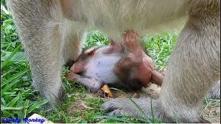 Ridiculous! Little Lizza  D0 Drama By Lay Down 0n The Ground Seem Like Something Wrong. Baby Lizza.