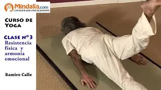 CLASE DE YOGA 3   Resistencia f&iacute;sica y armon&iacute;a emocional por Ramiro Calle