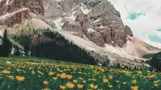 03 दुख के प्रभाव और दुख के भोग में अंतर (Freedom)