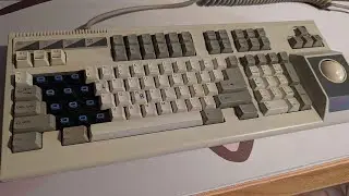 Accodata Keycat (🐈) Vintage Keyboard Sound Test (Alps SKCM Blue)