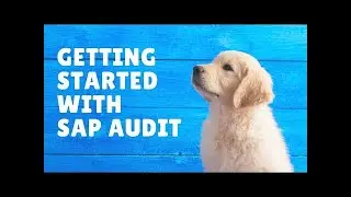 SAP Center for Learning about SAP Audit Compliance