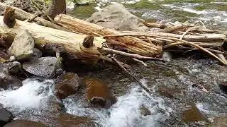 Multnomah Creek