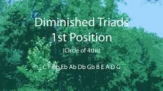 Diminished Triads 1st Position Circle of 4ths