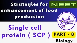 Single cell protein ( SCP ) | Strategies for enhancement of food production | Part 8 | Saumya M