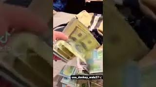 dollar 💰 america 2 numbri balak donkey wale #viral #shorts