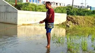 Amazing Hook Fishing Video | Fish hunting | Catching catfish.fishingbdgo.