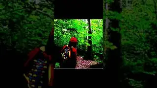 Nayetcha (Full Album)