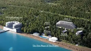 Откройте для себя проект будущего - VR Shekvetili Forest~Beach | By Paragraph!