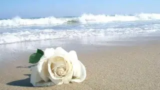 SUA VIDA SENTIMENTAL ESTÁ PROTEGIDA! MÃE IEMANJÁ TRABALHA HOJE E SEMPRE POR VOCÊ!