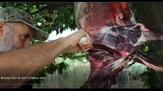 Braised shin & neck of fallow deer
