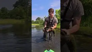 Real-Life SWAMP MONSTER!