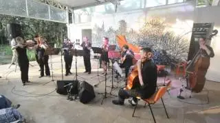 Conjunto de M&uacute;sica Antiga da USP - G Ph Telemann - Suite Ouverture Burlesque de Quixotte 02 de 02