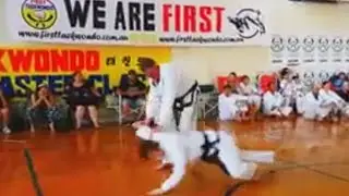 2019 3rd Dan Applicants Self-Defence