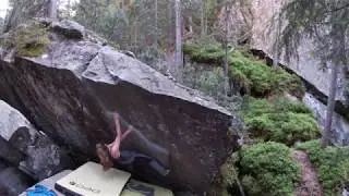 Die Sch&ouml;ne, 6b. Magic Wood