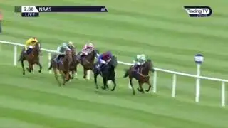 Horse Racing Death 33 - Revkev at Naas Racecourse