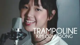 SHAED x ZAYN - Trampoline (KIM! Cover)