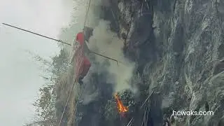 Mad Honey Harvesting in the Himalayas  #hcwaks #madhoney