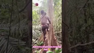 Jungle Spider-Man: Watch Him Climb TALL Trees With Just A ROPE! #ExtremeClimbing #Survival🌳🧗&zwj;♂️🤯