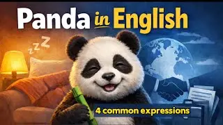 Panda in English: from Cute to Powerful &ndash; 4 Expressions Explained