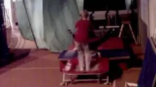 Jim Parkour Sampler  2010