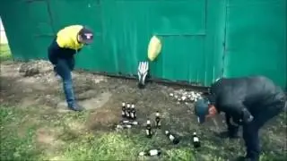 Попили пивка