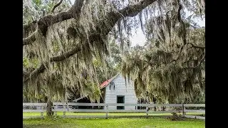 Discover Brunswick, GA: Beautiful Port City on Georgia's Coast