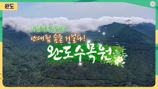 [특별기획 숲으로] 난대림 숲을 거닐다 완도 수목원 | 어바웃 우리동네 (2022.06.20.)