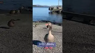 Vollen - Norway#философия #мотивациянауспех #мысли #психология #цитаты #саморазвитие #цитаты #советы