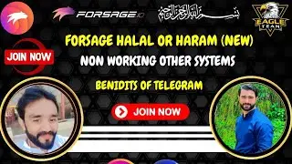 Forsage Halal Or Haram| Telegram Benefits| Forsage Busd